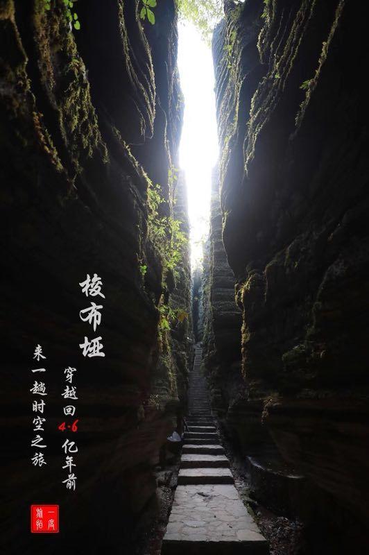 好好的茶叶，放了一两年后为什么会出现油味，到底哪里出了问题？